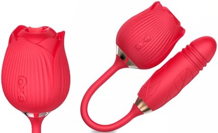 2-in-1 Rosen-Saugvibrator: 2