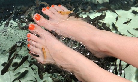 2x 30 Min Knabber-Fisch-Pediküre inkl. Tee oder Kaffee