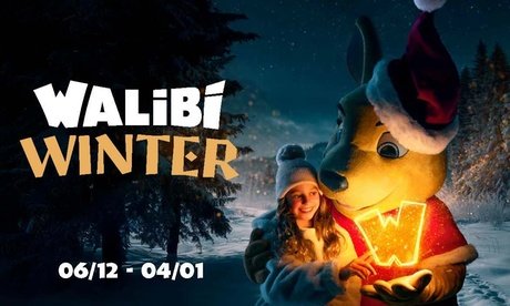 1 Eintrittskarte für 1 Erwachsenen oder 1 Kind für Walibi Winter