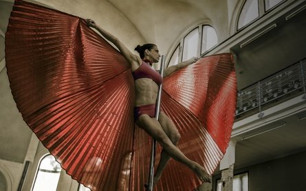 3 Trainingseinheiten: 60 Min. Pole Sports & Dance für 1 Person