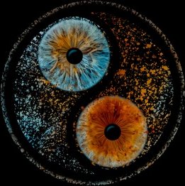 Inkl. Ausdruck in 13 x 18 cm: 1 Foto der Iris als Nahaufnahme für 1 Person