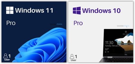 Software: Windows 10 Enterprise