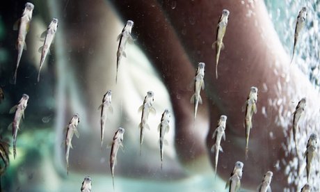 1x 30 Minuten Kangalfisch-Pediküre