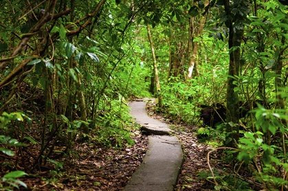 Waldbaden für 1 Person