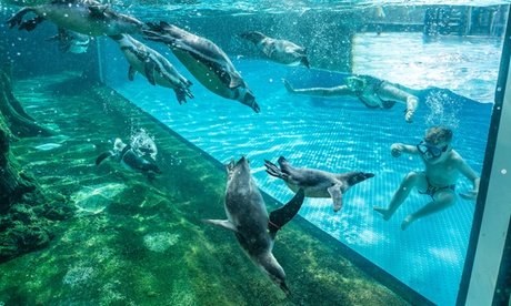 Tageskarte für 1 Erwachsenen für die Saunawelt inkl Badewelt (einlösbar Mo.-Fr. ab 13.04.2026)