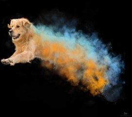 30 Minuten Holi-Fotoshooting inklusive 5 Bildern