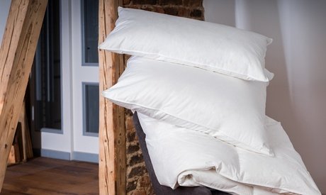 Feder-Kopfkissen: Nepal/ 40 x 80 cm / 1