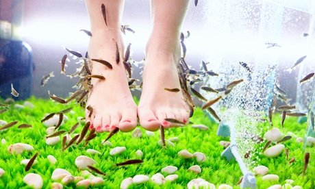 Für 1 Person: 30 Min. Fisch-Spa-Programm inkl. 15 Min. entspannender Fuß-Massage