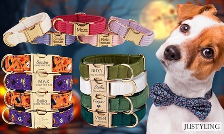 Personalisierbares Haustier-Halsband im Halloween-Design (zzgl. Versandkosten)