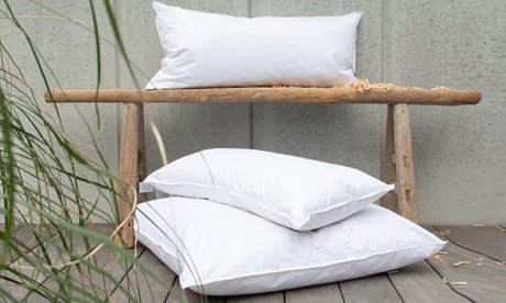 Feder- und Daunen-Kopfkissen mit Zirbenholz: 40 x 80 cm