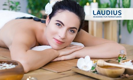 Inkl. Fernlehrerbetreuung Abschlussprüfung und Zertifikat: 12 Monate Onlinekurs Ayurveda-Gesundheitsberater:in