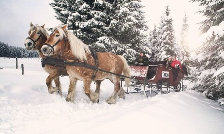 60 Min. Pferdeschlitten- oder Kutschfahrt inkl. Getränke für bis zu 5 Personen (einlösbar: Mi. & So.)