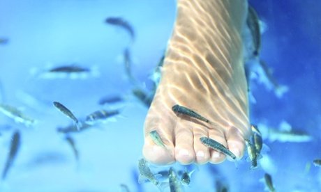 20 Min. Fisch-Spa-Pediküre oder -Maniküre