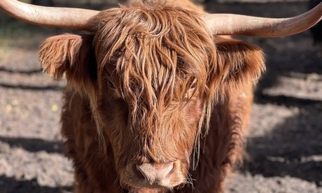 Für 1 Erwachsenen + 2 Kinder: Ticket für den Wildpark