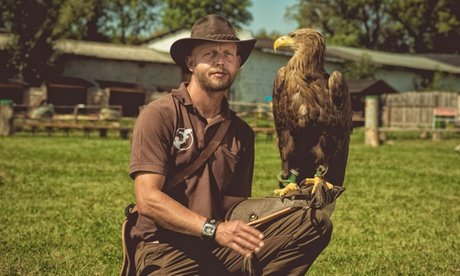Für 1 Kind: Falknerei-Erlebnis mit Flugvorführung Erinnerungsfoto und Getränk (Kinder unter 4 Jahren: umsonst)