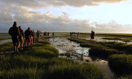 Für 4 Personen: 2 5 Std. Tour durchs Wattenmeer inkl. Heißgetränk & Gebäck