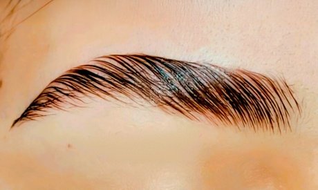Augenbrauen- oder Wimpern-Lifting inkl. färben