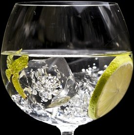 Hochwertiges Gin-Tonic-Tasting für 1 Person