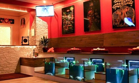 Kennenlern-Angebot für 1 Person: 45 Min. Fisch-Spa-Pediküre