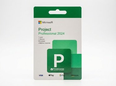 Microsoft Visio Pro 2024