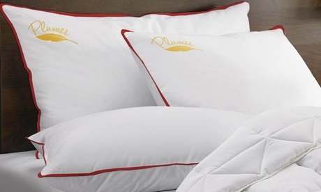 Sampur Federkissen: 40 x 70 cm / 1