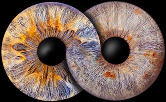 Für 4 Personen: Iris-Fotoshooting inkl. digitale Dateien in voller Auflösung