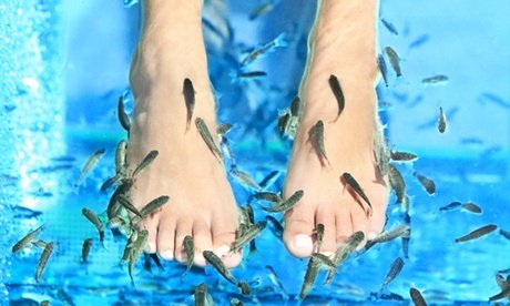 2x 30 Min. Kangalfisch-Pediküre