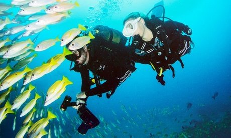 Regensburg: Tauchkurs Open Water Diver – SSI Zertifiziert