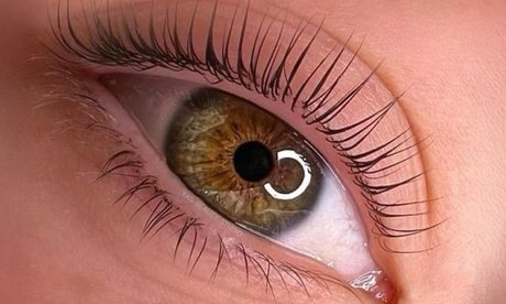 Kombination aus Augenbrauen- und Wimpern-Lifting inkl. Färben