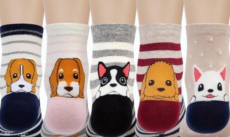 1P Striped Dog Socks - random color (A0517-DPA)