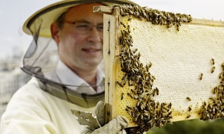 4 Std. Imker-Schnupperkurs inkl. 2 Gläser Bio-Honig für 2P.