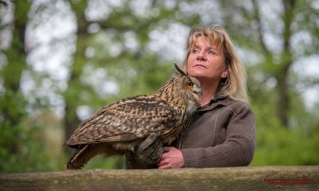 1 5-stündige Waldtour mit Greifvögeln oder Eulen für 1 Person ab 16 Jahren (einlösbar nur im Januar und Februar 2026)