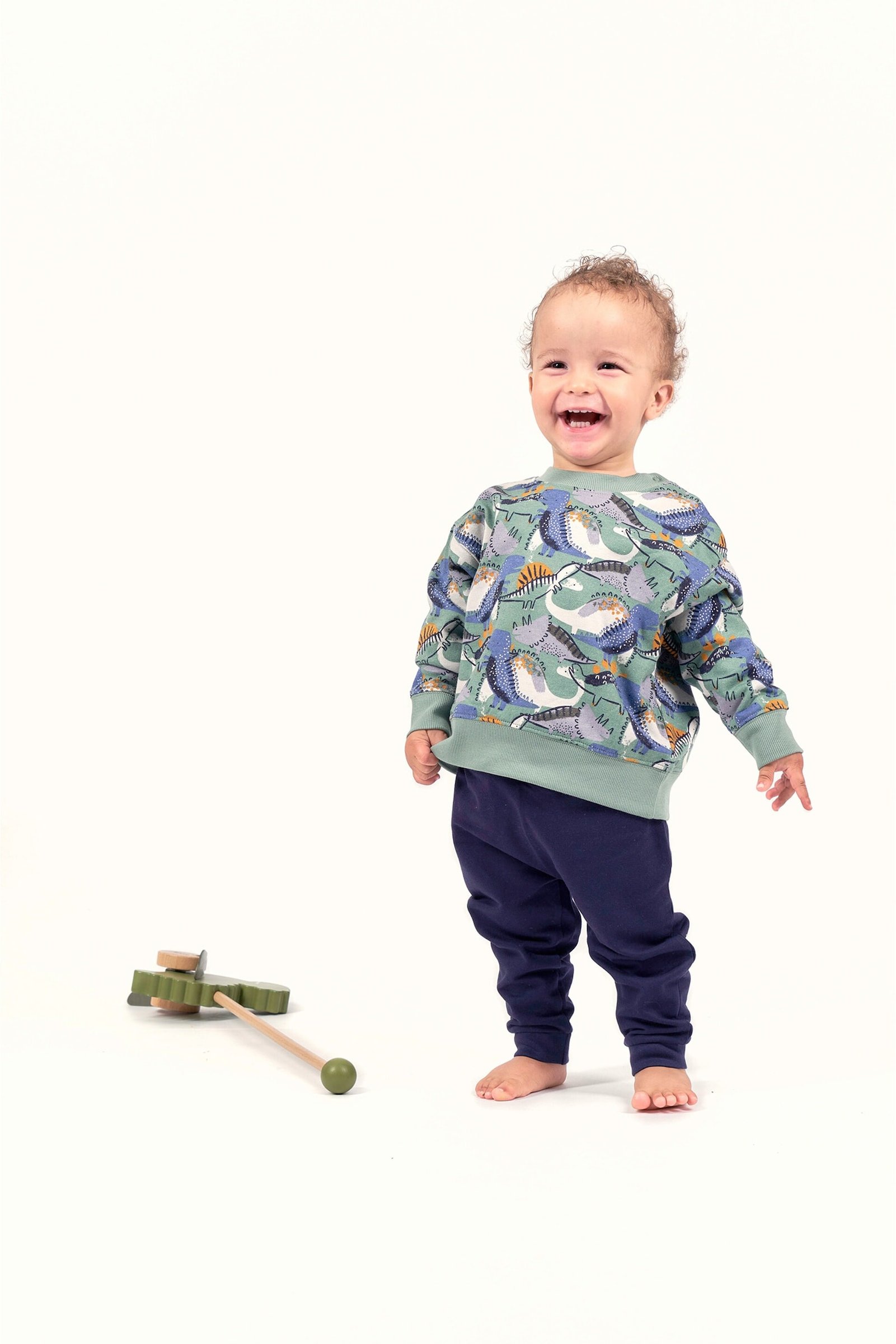 Sense Organics Sweatshirt Dinos