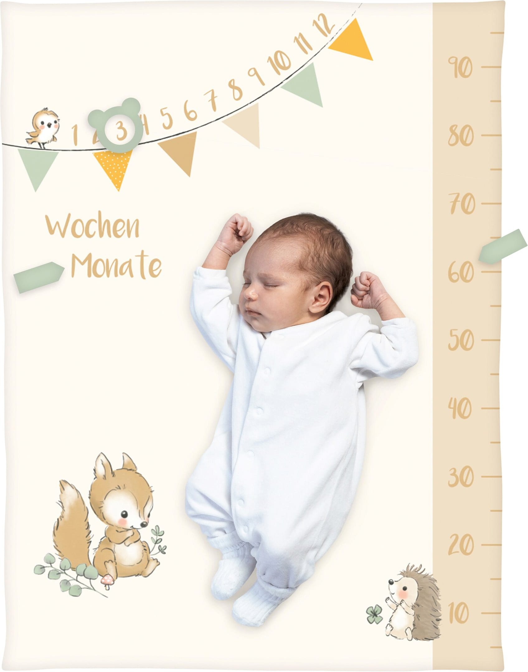 Baby Best Babydecke Microfaserflausch Meilenstein 75x100 cm