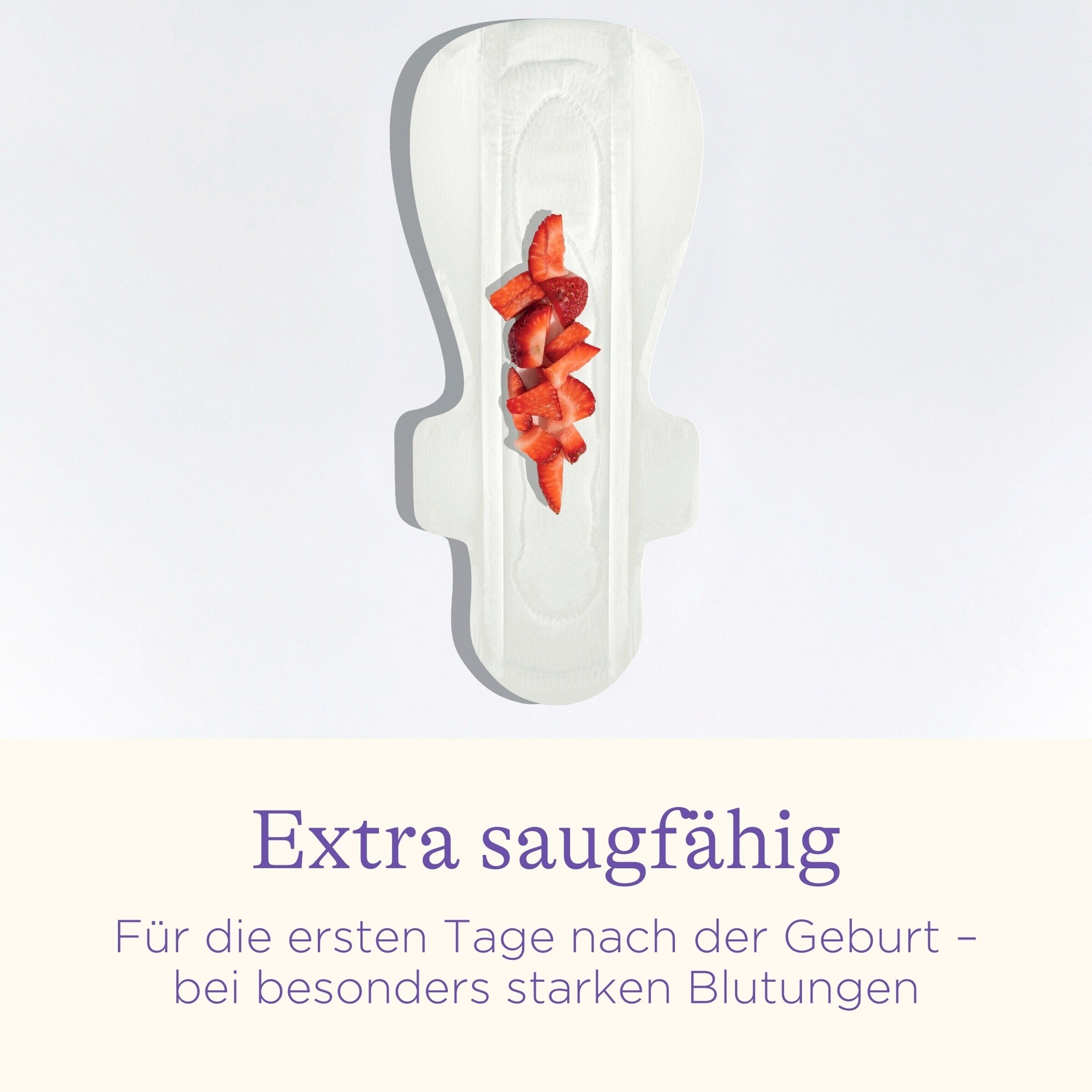 Lansinoh Wochenbetteinlagen 0-2 Wochen,10 Stück