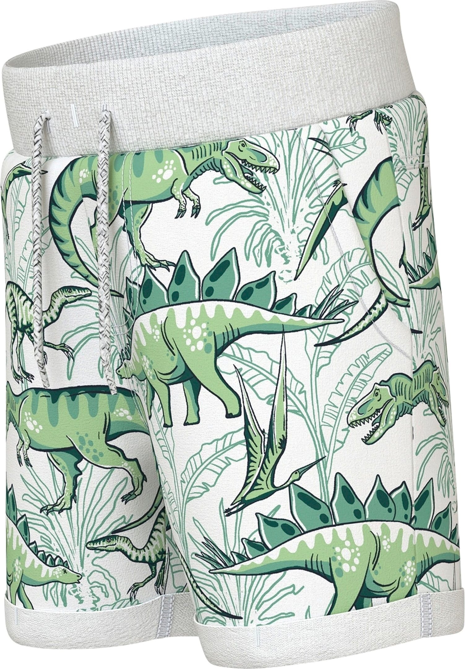 Name It Sweat-Bermuda Dinos