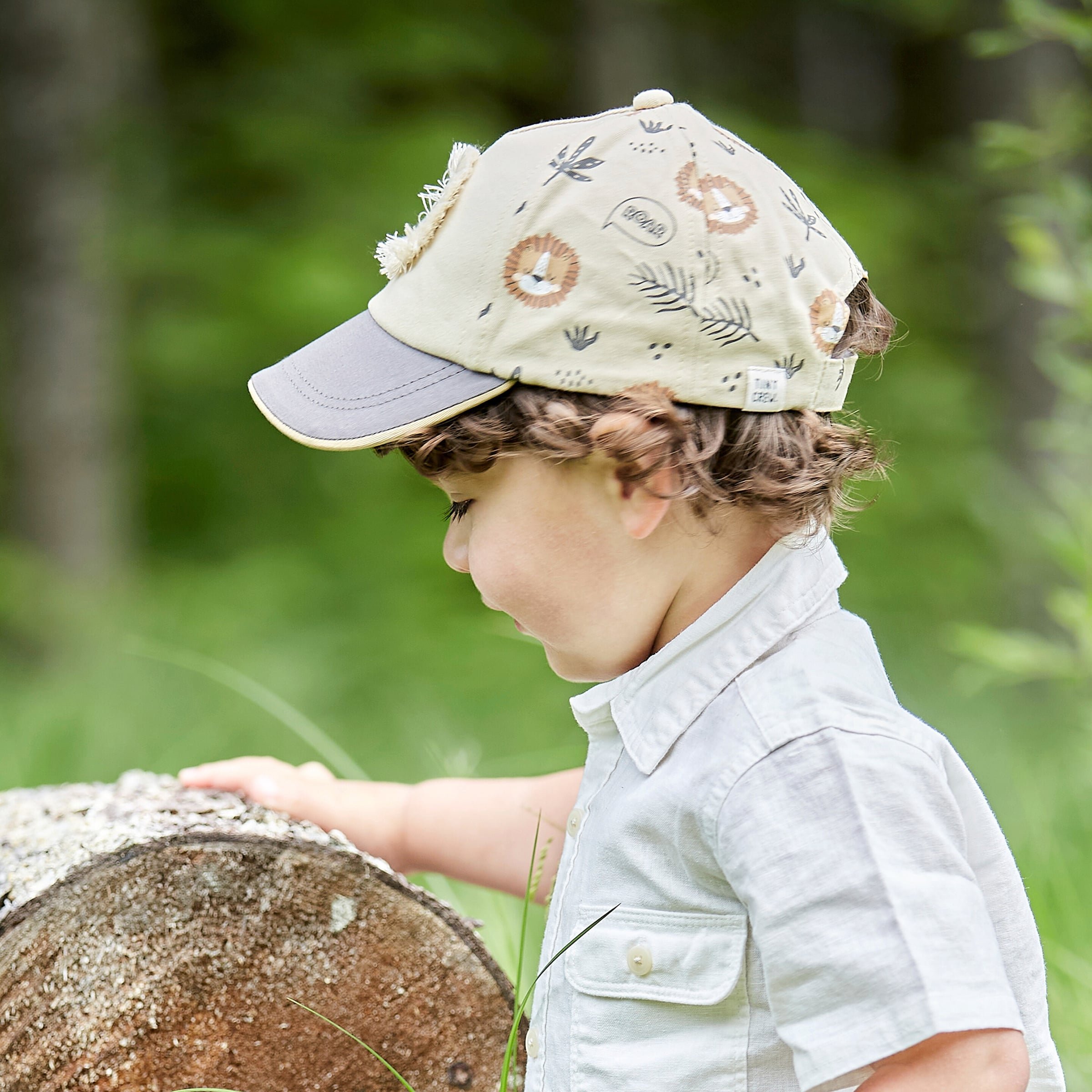 Thumbnail - Maximo Cap Löwe