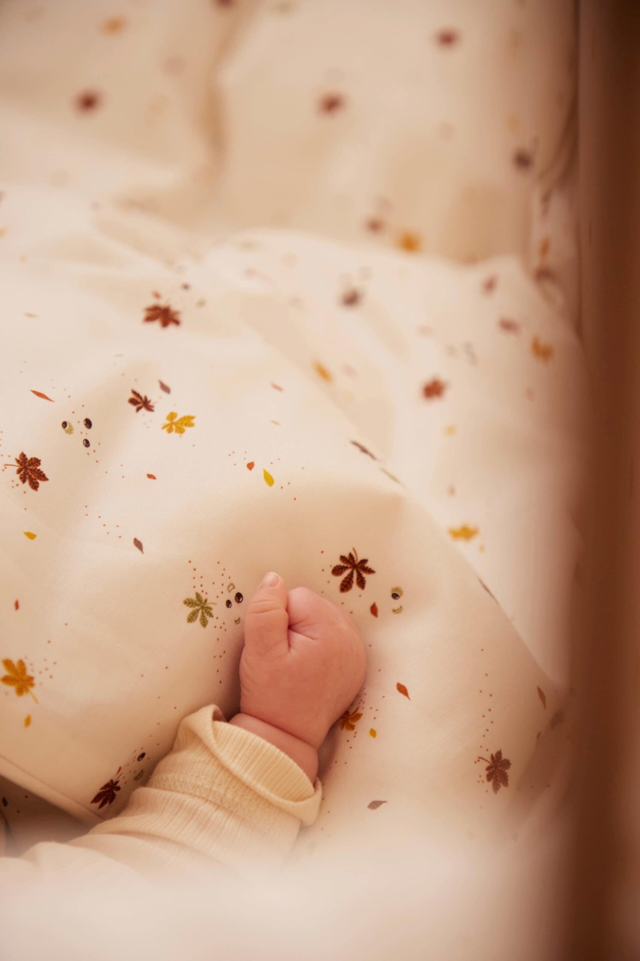 Filibabba Baby Bettwäsche GOTS (70x100 cm) - Chestnuts