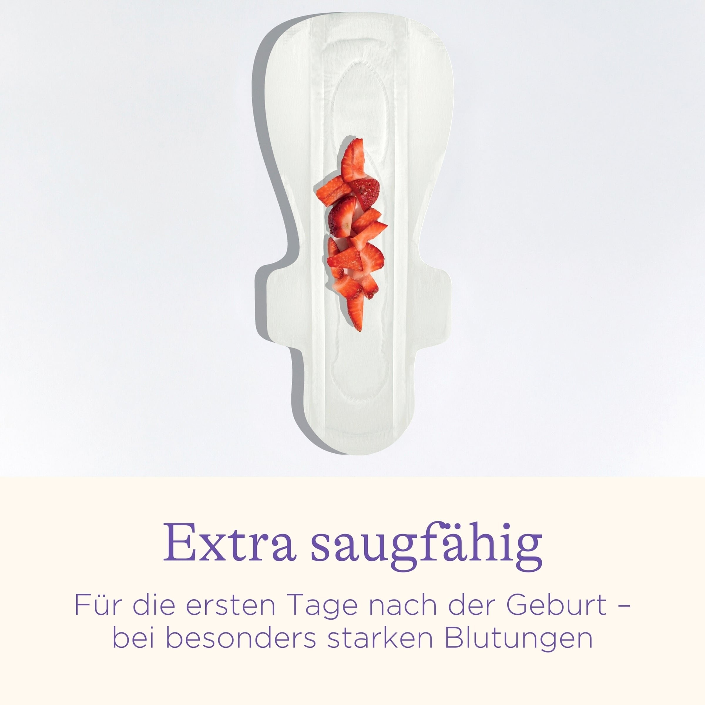 Lansinoh Wochenbetteinlagen 0-2 Wochen,10 Stück