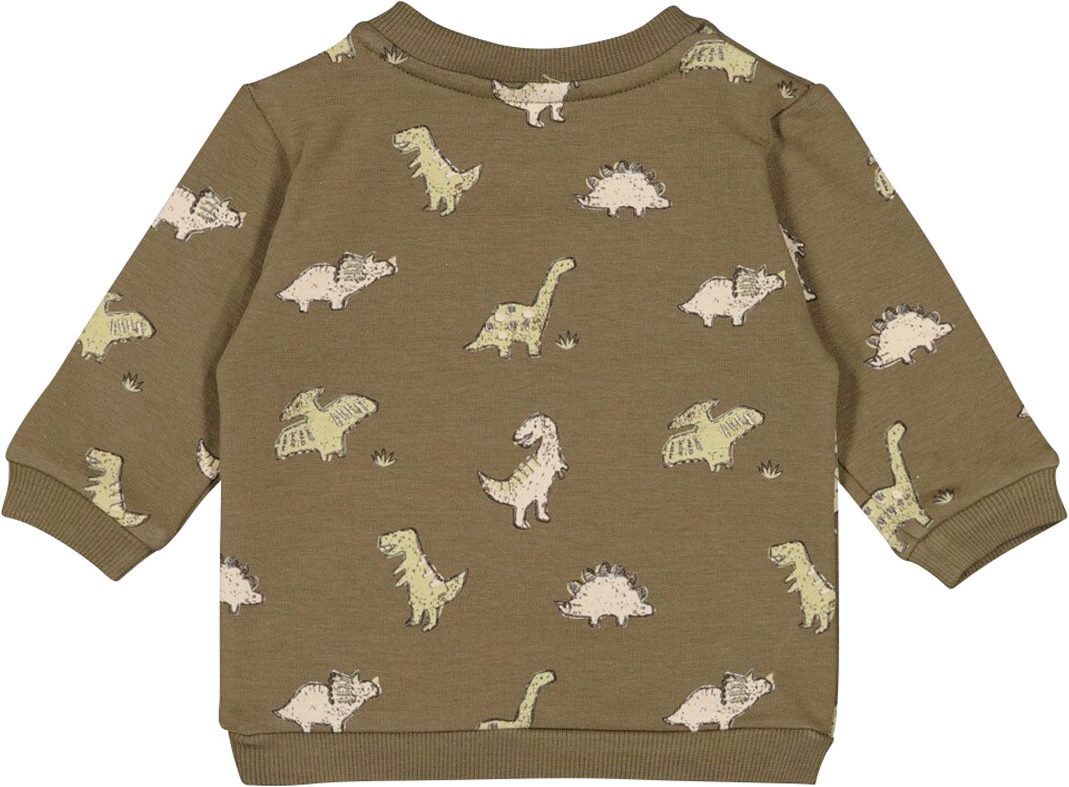 Feetje Sweatshirt Dinos