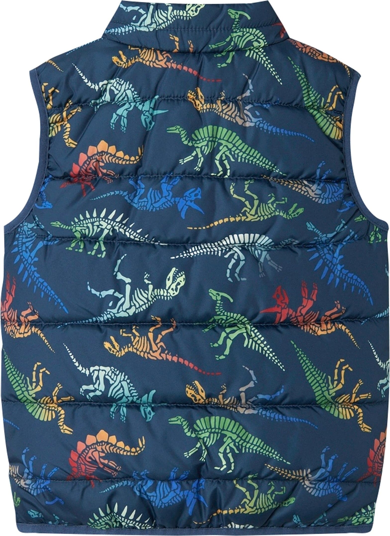 Name It Steppweste Dinos