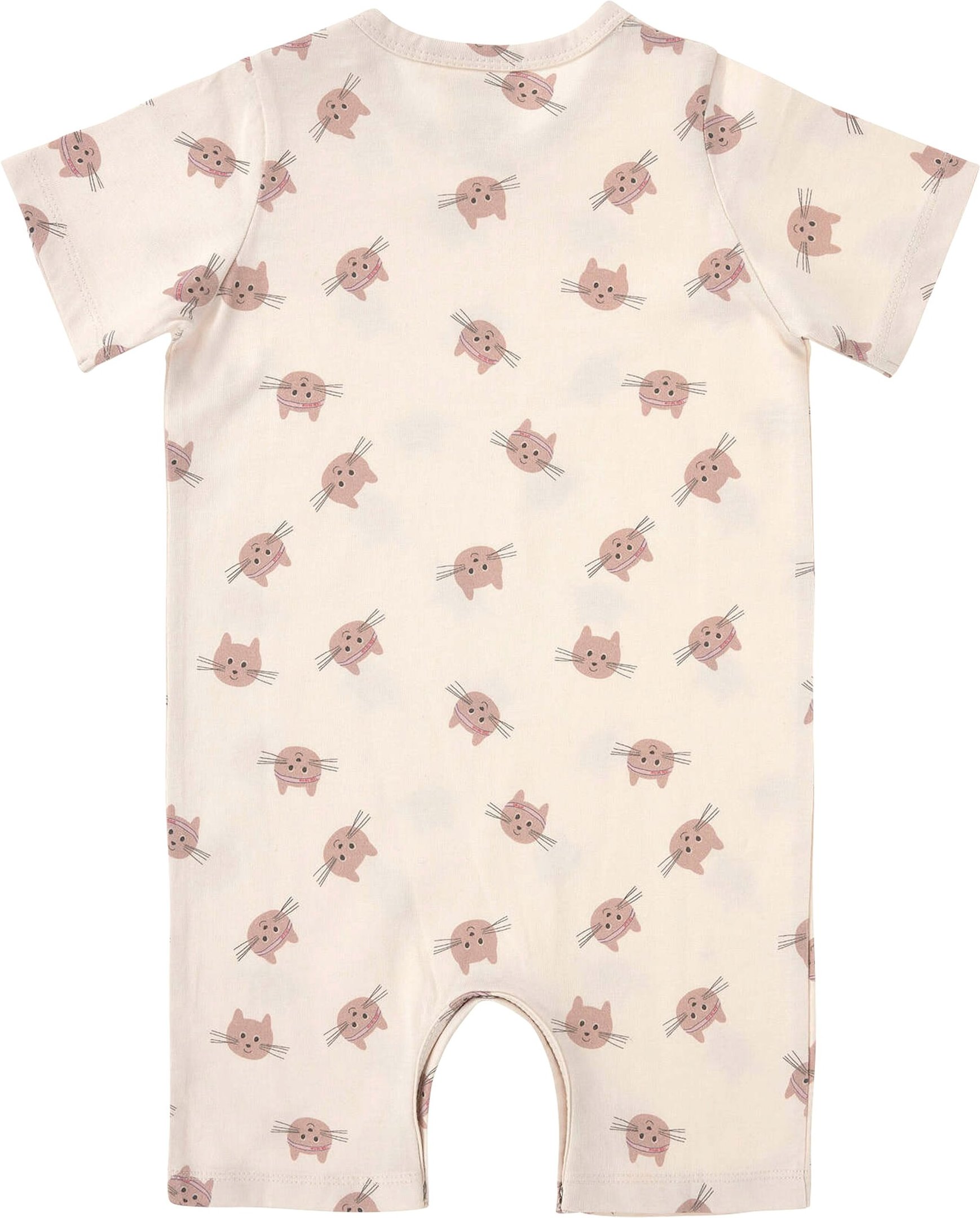 Lässig Spieler Katzen Little Gang