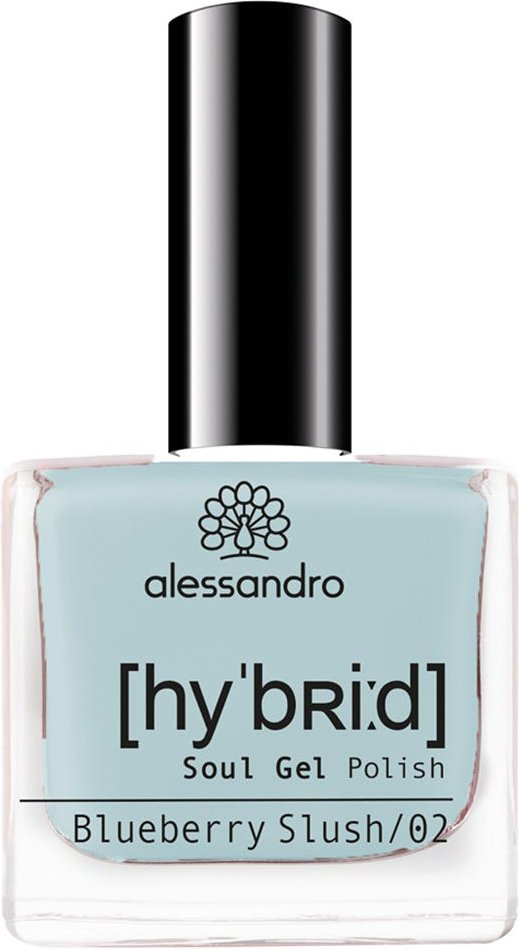 alessandro International Hybrid Blueberry Slush 8 ml