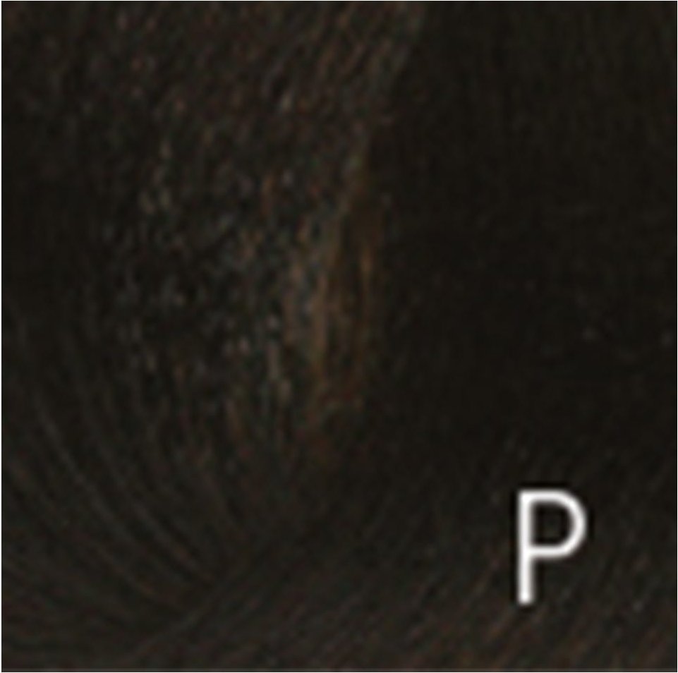 Mydentity Guy-Tang Permanent Shades 4NI 58 g