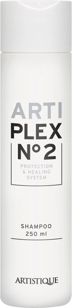 Artistique Arti Plex No2 Shampoo 250 ml