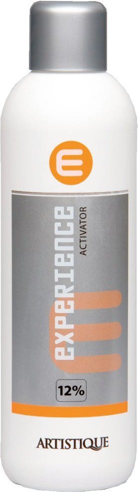 Artistique Experience Activator 12% 1000 ml