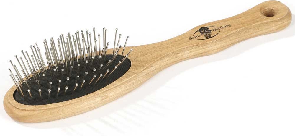 Braun & Wettberg Basisbürste Drahtstifte