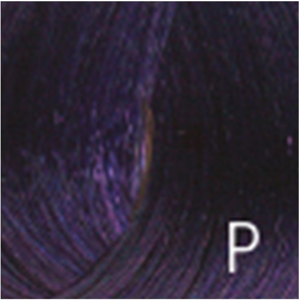 Mydentity Guy-Tang Permanent Shades 3MV 58 g