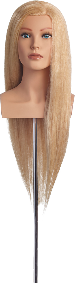 L'IMAGE Championkopf Gigi