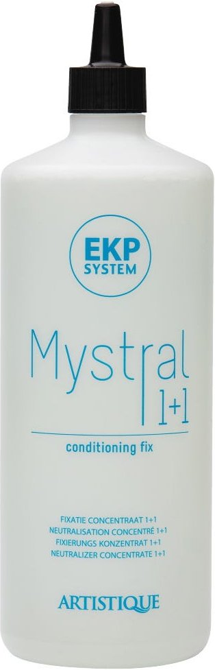 Artistique Mystral Conditioning Fix 1+1 1000 ml